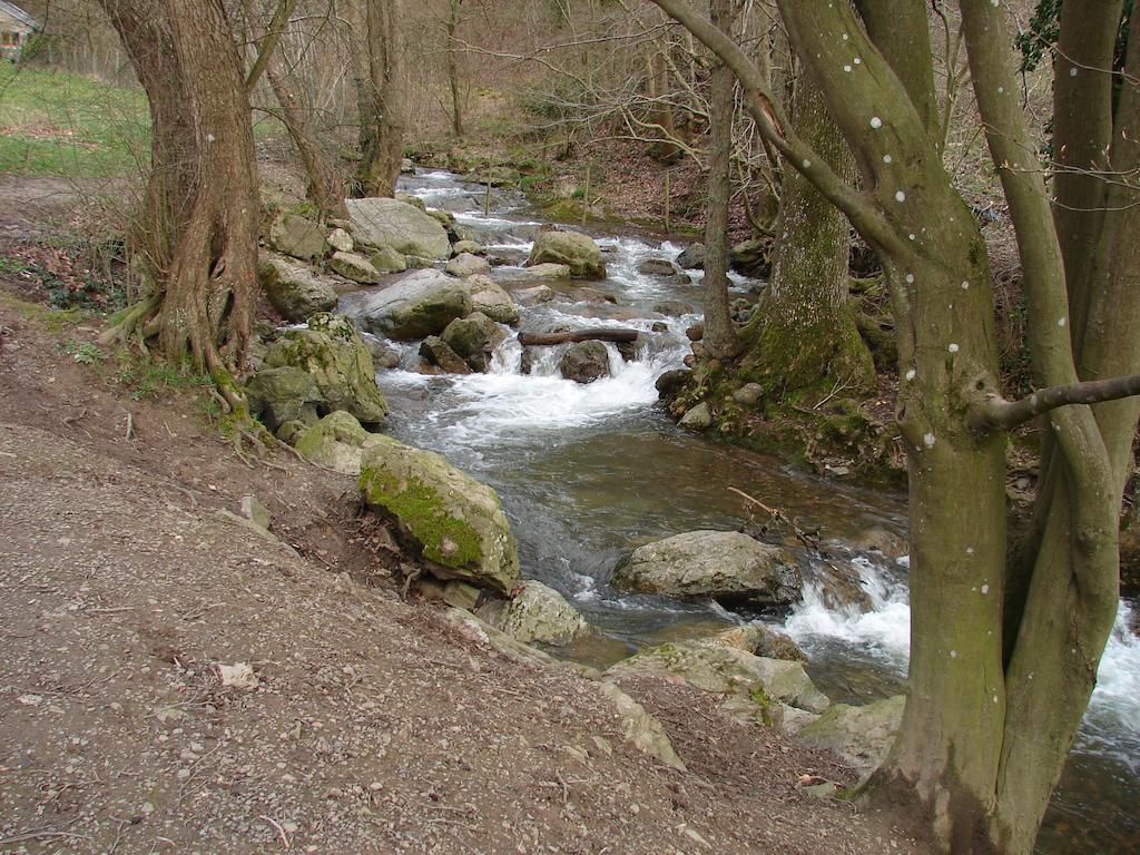 Gite Du Ninglinspo Aywaille Camera foto